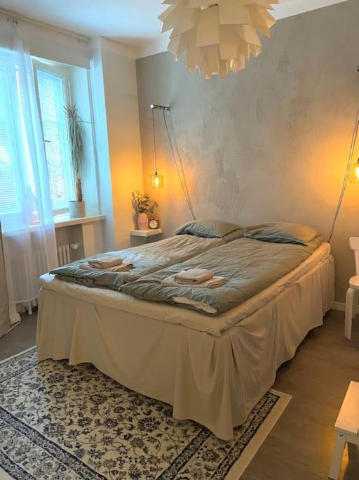 Glorious Apartment In Hakaniemi Гельсінкі Екстер'єр фото